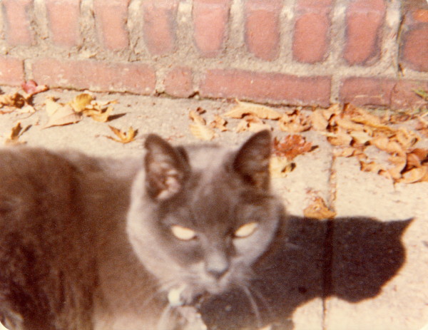 Photograph.